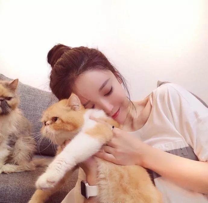 斋藤一（身份：前新选组第三分队组长、“壬生狼”） - 影视解说合集在线观看 - 网络视频